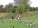 2014-10-02 12-27-13 Rando parc de la Courneuve DLe